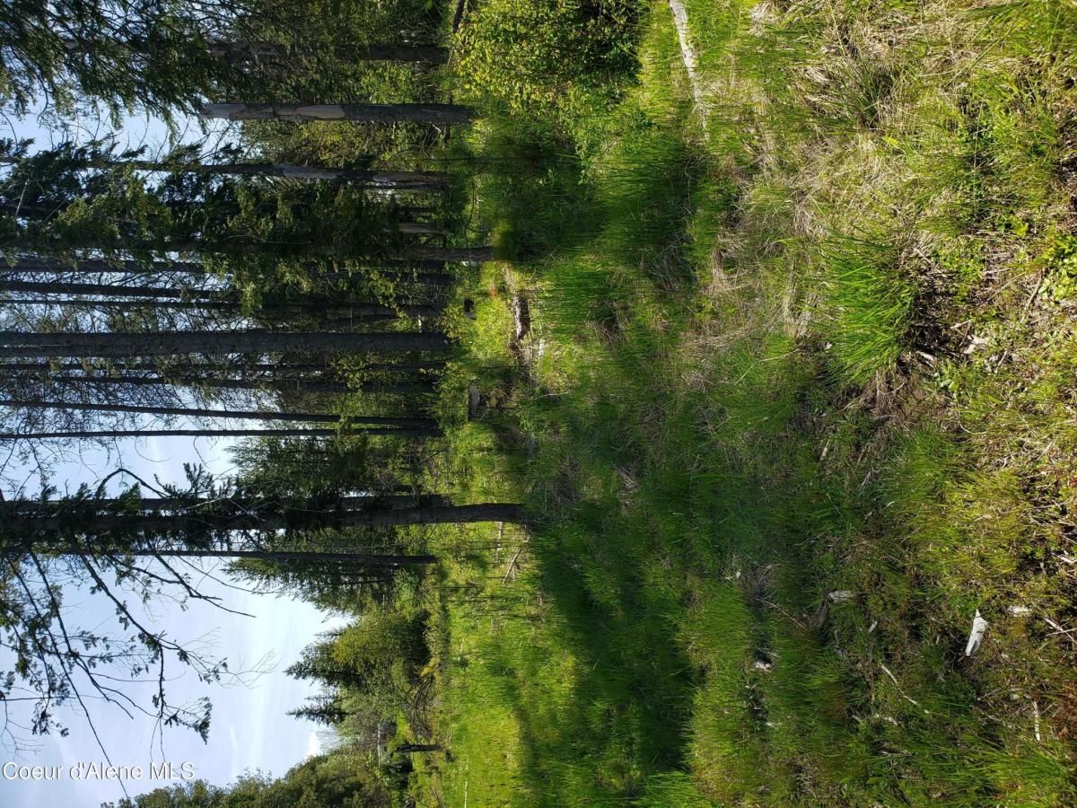 MLS #25-5328 img 0