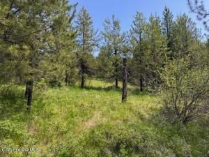 MLS #25-5377 img 0