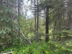 MLS #25-6403 img 0