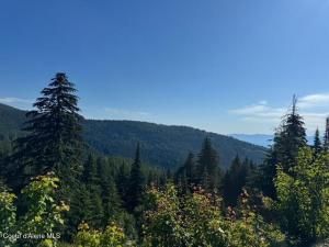 MLS #25-6881 img 0