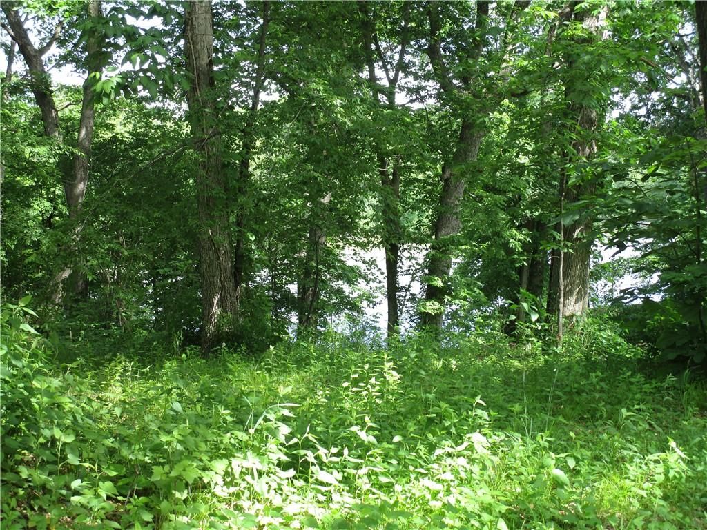 MLS #6240064 img 0