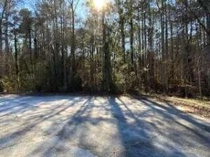 MLS #7333253 img 0