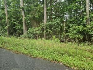 MLS #7409857 img 0