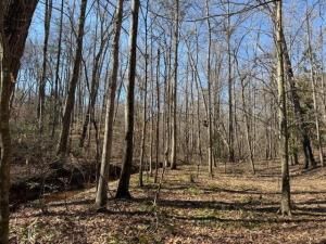 MLS #7545454 img 0