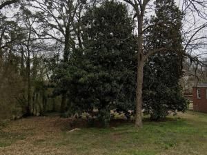 MLS #7567771 img 0