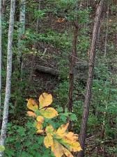 MLS #7573674 img 0
