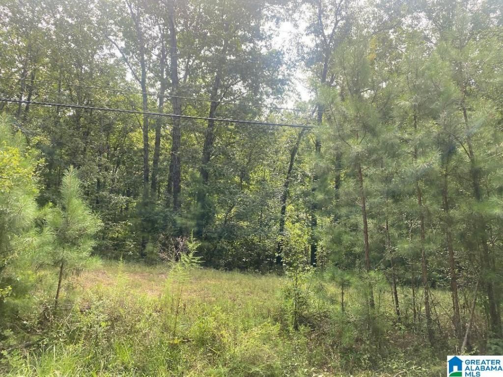 MLS #21394469 img 0