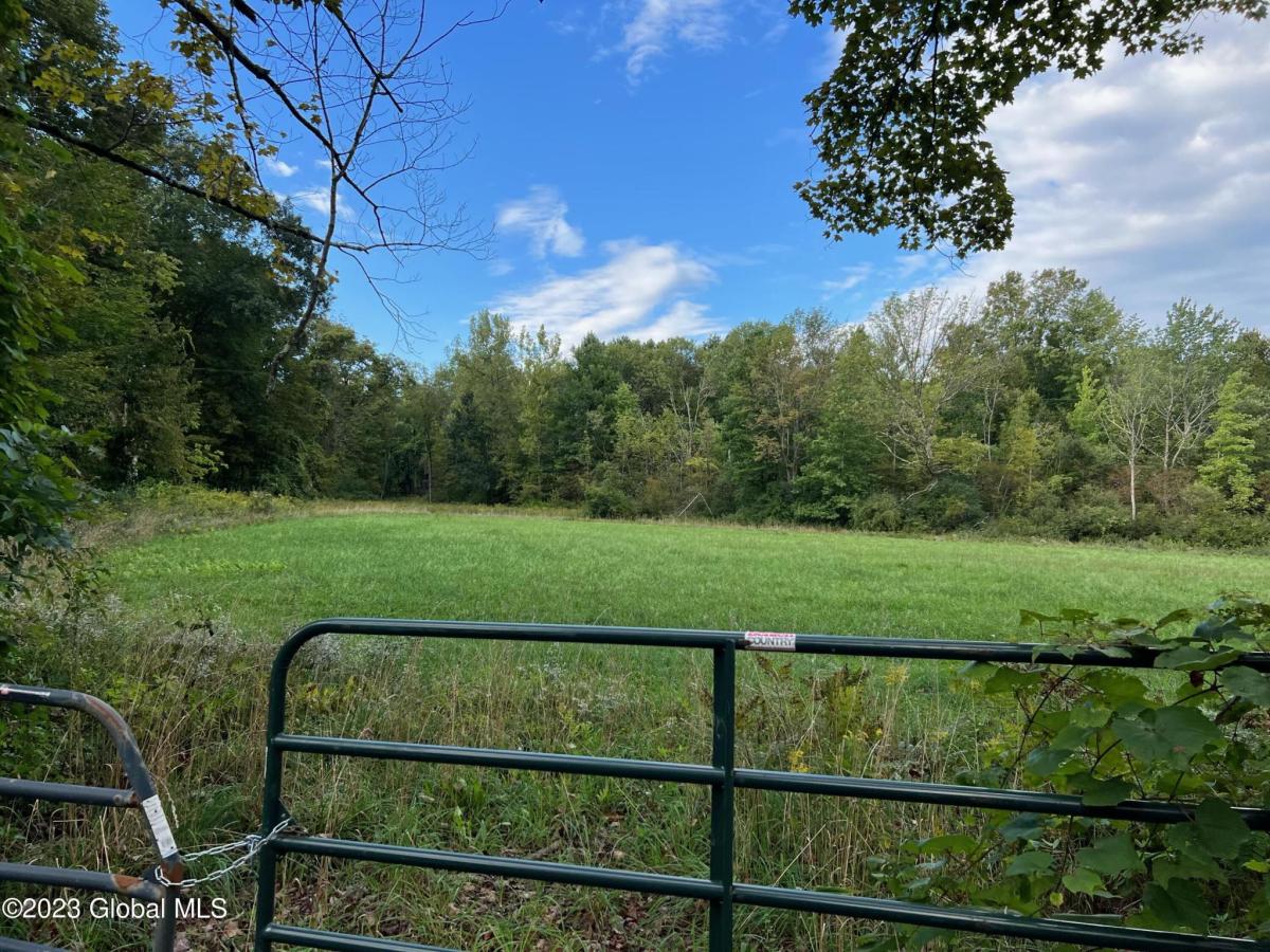 L30.31 Old Mill Rd Galway NY 12074 202324711 New York Land For Sale