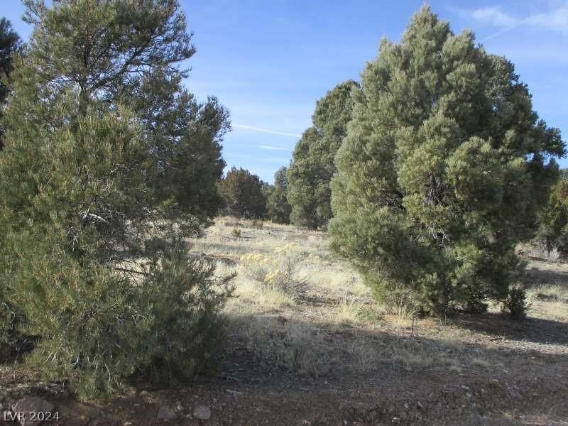 MLS #2569955 img 0