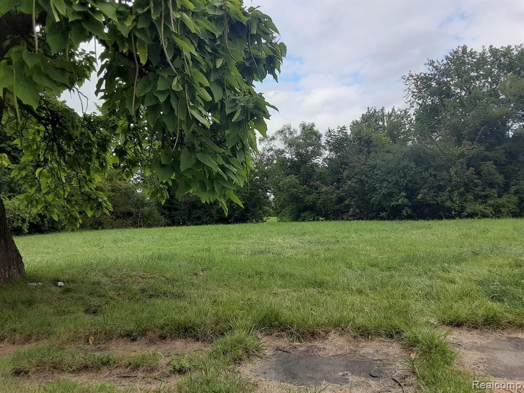 MLS #20240061506 img 0