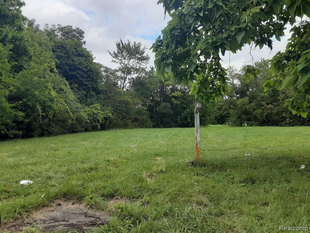 MLS #20240061515 img 0