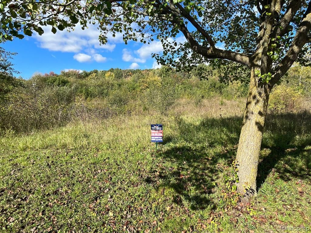 MLS #20240085428 img 0