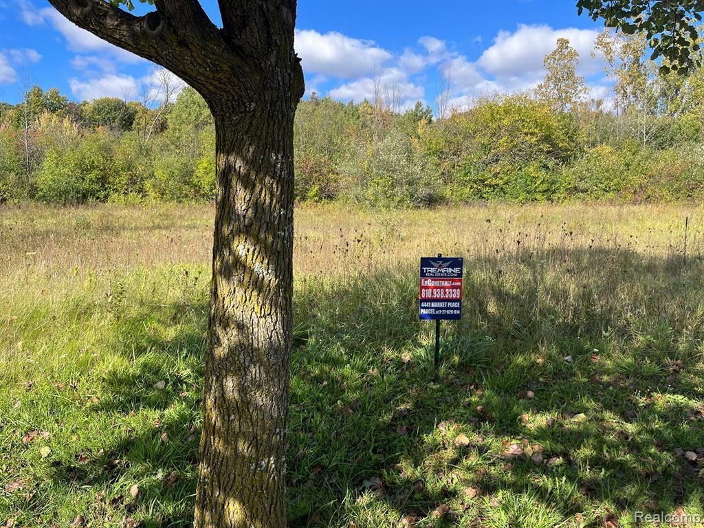 MLS #20240085495 img 0