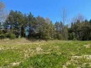 MLS #20250034655 img 0