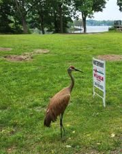 MLS #20251008138 img 0