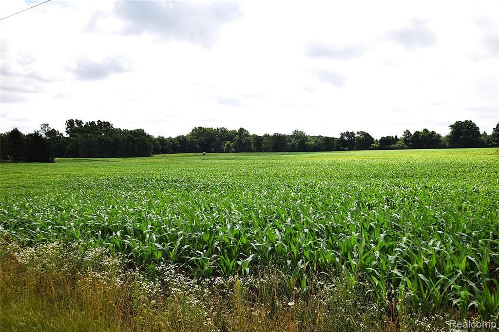 MLS #20251015710 img 0