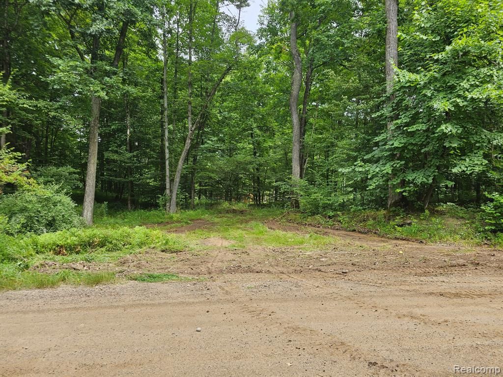 MLS #20251029195 img 0