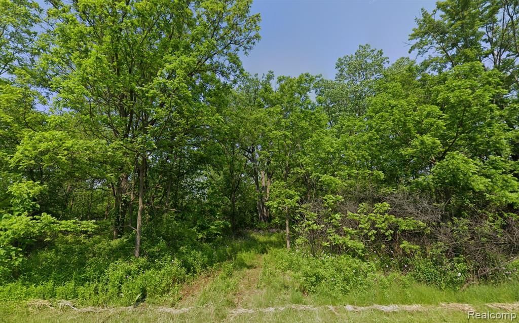 MLS #20251042638 img 0