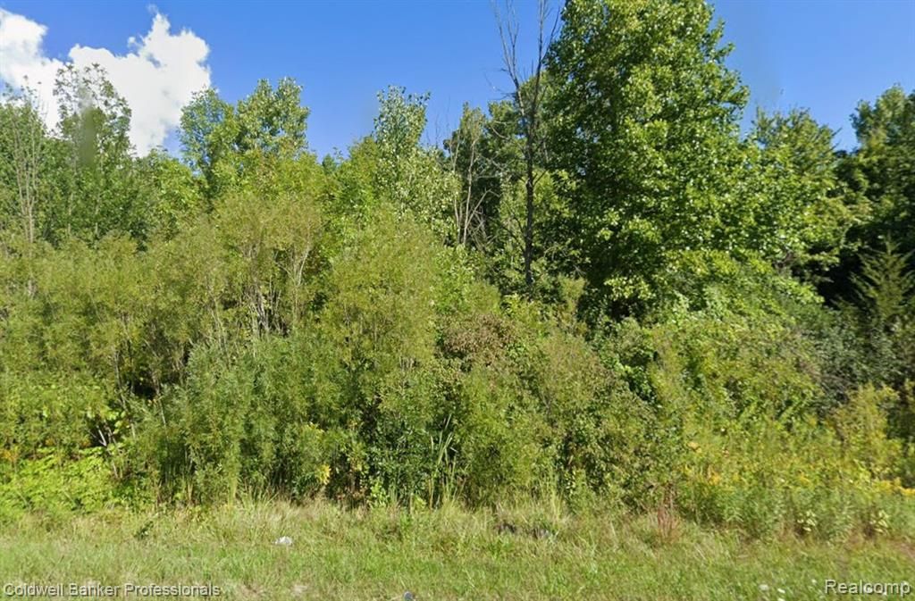 MLS #20251050787 img 0