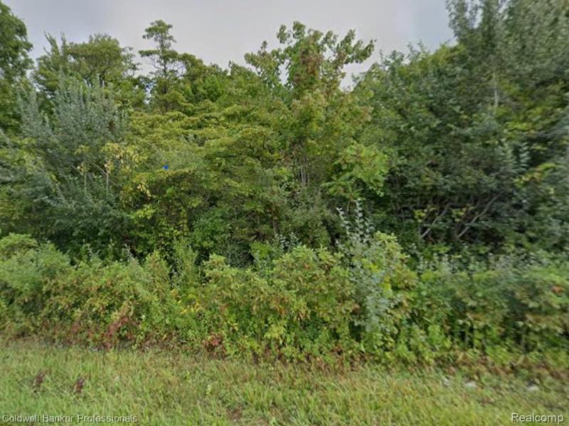 MLS #20251050800 img 0