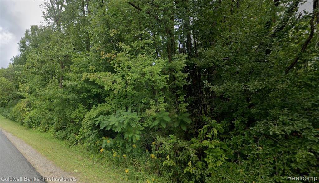 MLS #20251050808 img 0