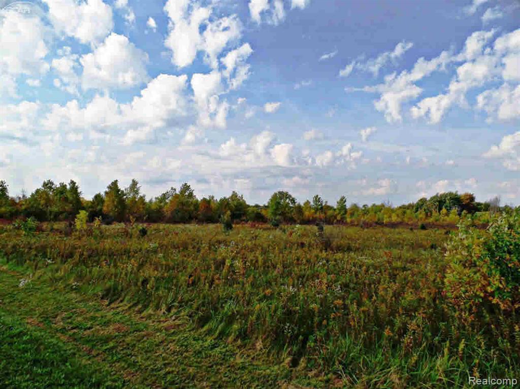 MLS #20261001655 img 0