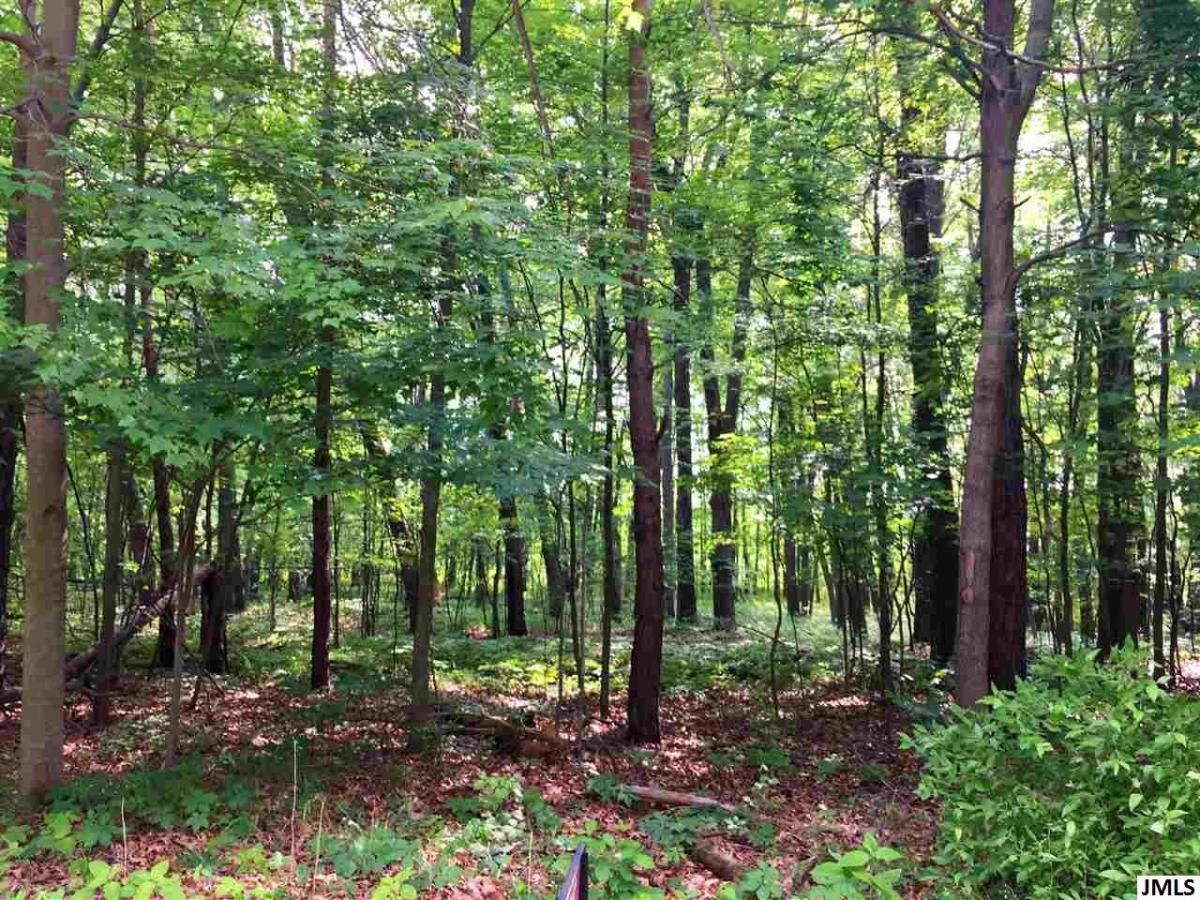 MLS #21037458 img 13