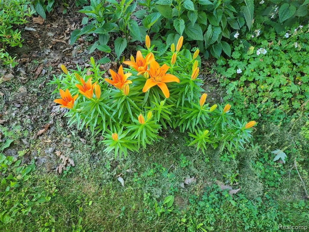 MLS #2220018836 img 0