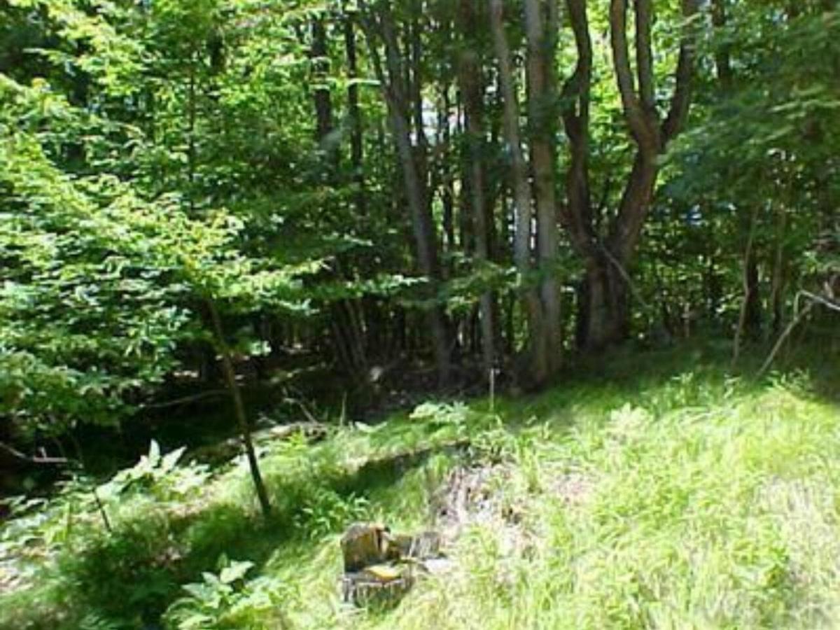 MLS #24063598 img 0