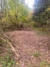 MLS #25000392 img 0