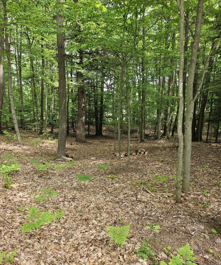MLS #25003068 img 0