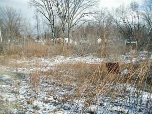 MLS #25003360 img 0