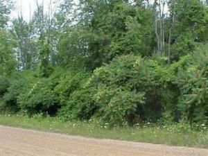 MLS #25004315 img 0