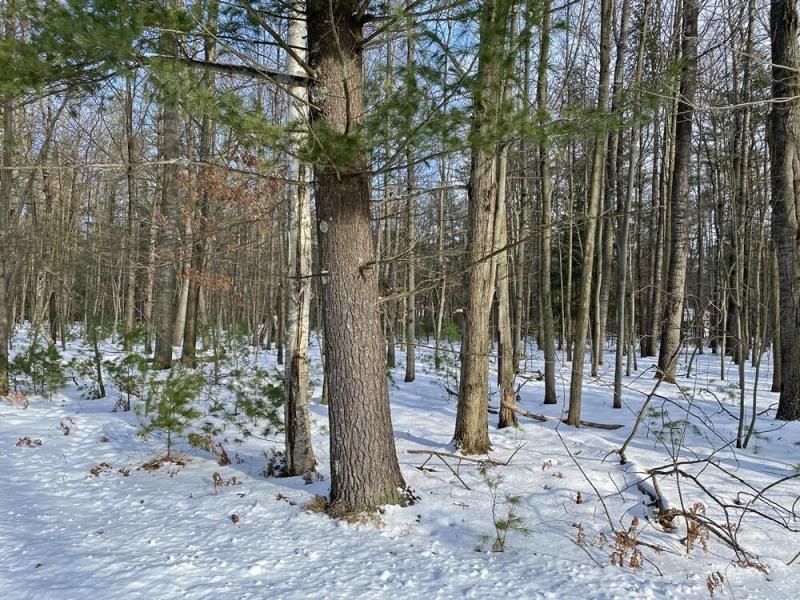 MLS #25004600 img 0