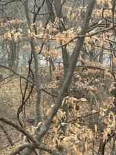 MLS #25009678 img 0