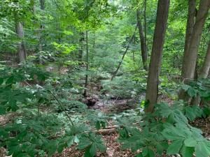 MLS #25009983 img 0