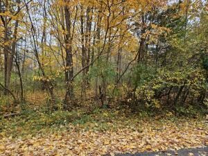 MLS #25010399 img 0