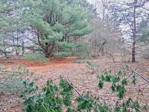 MLS #25012058 img 0