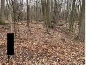 MLS #25012711 img 0