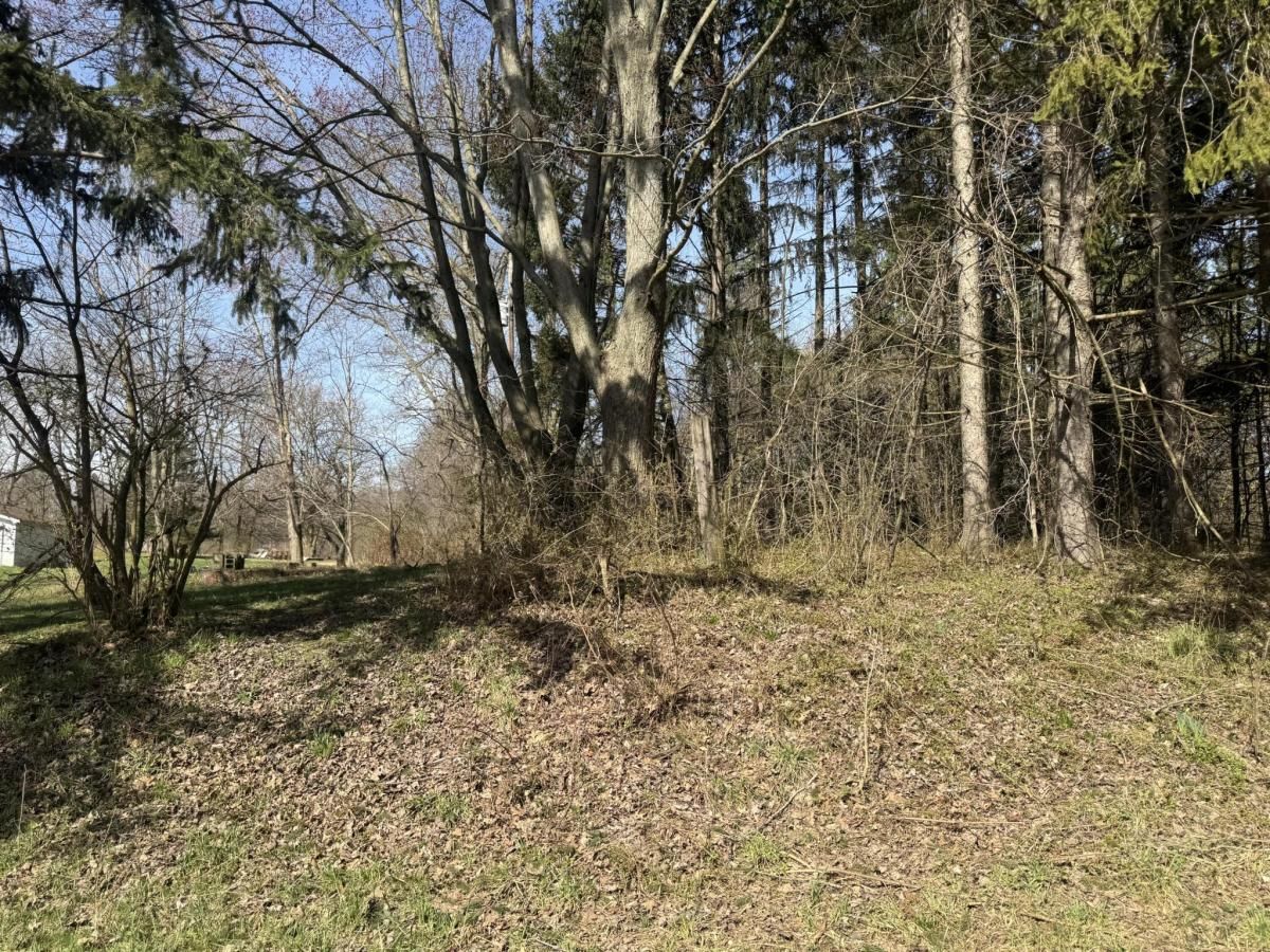 MLS #25013399 img 0