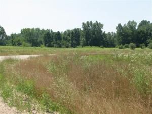 MLS #25014349 img 0