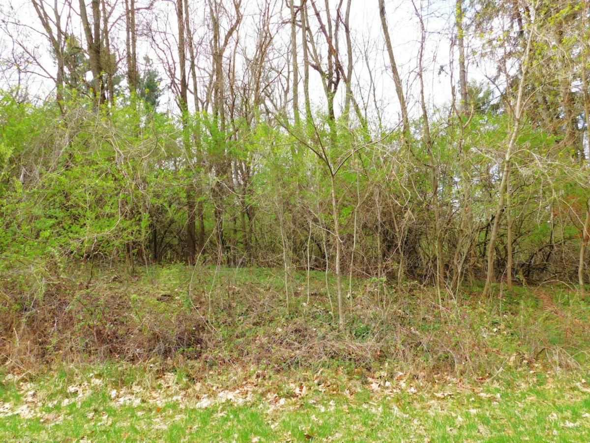 MLS #25015450 img 0
