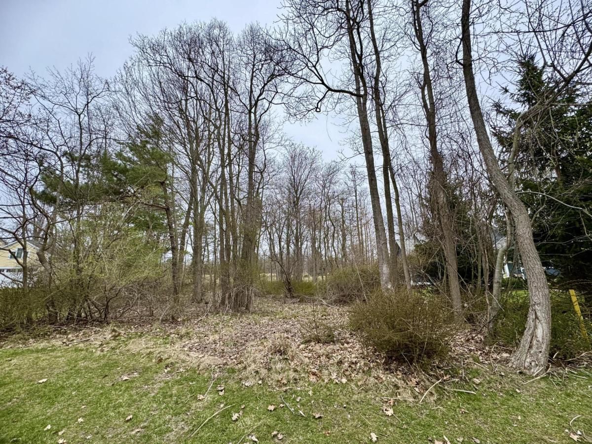 MLS #25016491 img 0
