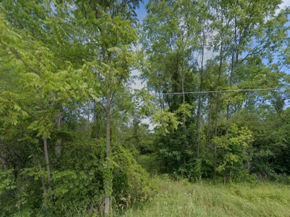 MLS #25016637 img 0
