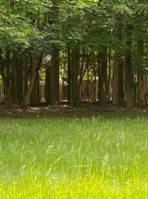 MLS #25018343 img 0