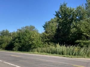 MLS #25023813 img 0