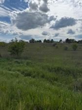 MLS #25024710 img 0