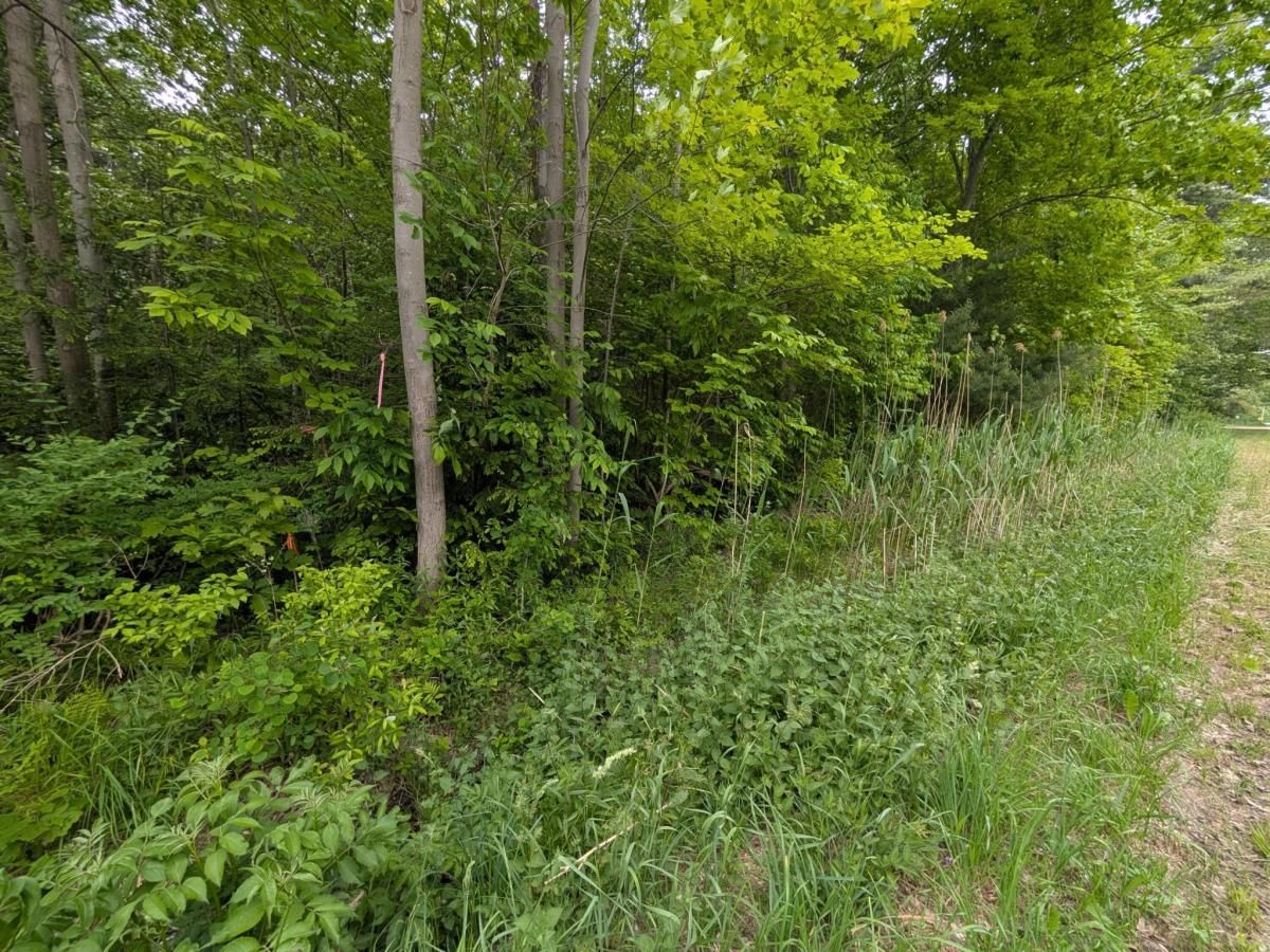 MLS #25026057 img 0