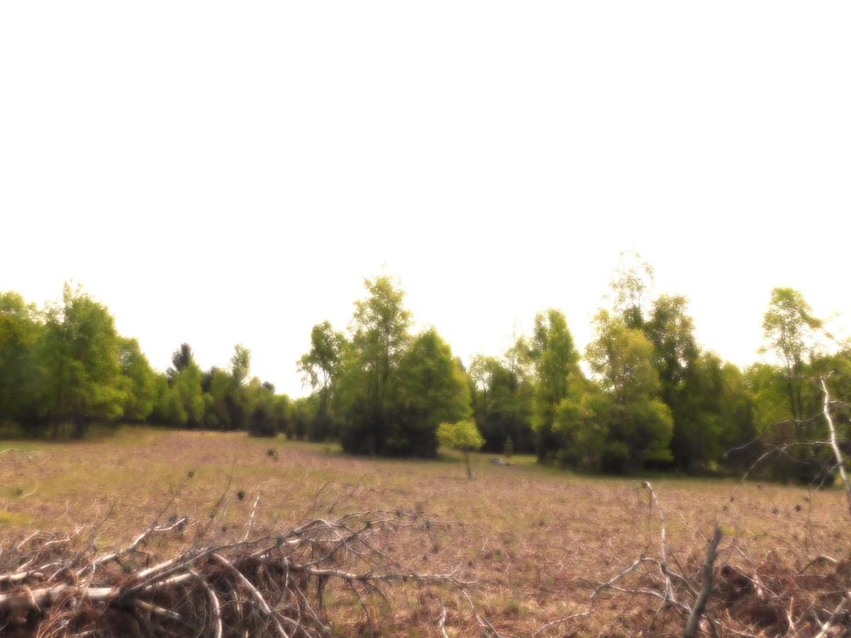 MLS #25027469 img 0