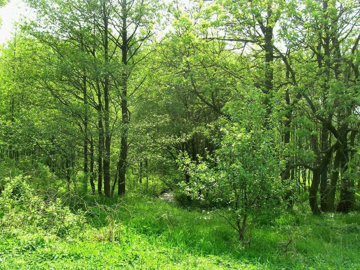 MLS #25027825 img 0